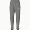 Брюки TNF Horizon Performance Fleece Pant (Мужской; S; MediumGrey Heather)